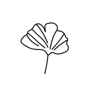 Siyah çizgili vektör minimalist bitki yaprağı. Bir Summer sade el çizimi karalama stilinde beyaz izole arkaplan üzerine. Paketleme, web siteleri, sosyal medya, posterler, kartpostallar için tasarım.