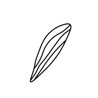 Siyah çizgili vektör minimalist bitki yaprağı. Bir Summer sade el çizimi karalama stilinde beyaz izole arkaplan üzerine. Paketleme, web siteleri, sosyal medya, posterler, kartpostallar için tasarım.