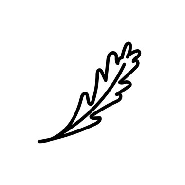 Siyah çizgili vektör minimalist meşe yaprağı. Bir sonbahar sade el çizimi karalama stilinde beyaz yalıtılmış arkaplan. Paketleme, sosyal medya, posterler, kartpostallar için tasarım..