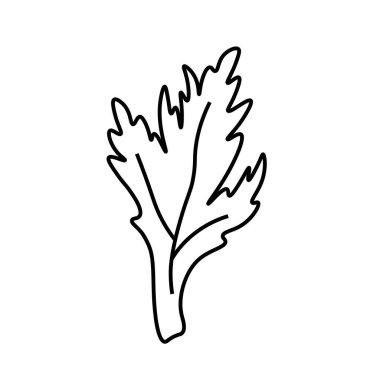 Siyah çizgili vektör minimalist bitki yaprağı. Bir sonbahar sade el çizimi karalama stilinde beyaz izole arkaplan üzerine çizilmiş. Paketleme, sosyal medya, posterler, kartpostallar için tasarım.