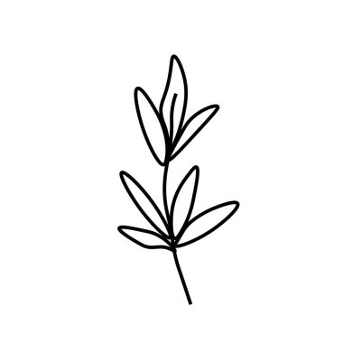 Siyah çizgili vektör minimalist bitki yaprağı. Bir sonbahar sade el çizimi karalama stilinde beyaz izole arkaplan üzerine çizilmiş. Paketleme, sosyal medya, posterler, kartpostallar için tasarım.