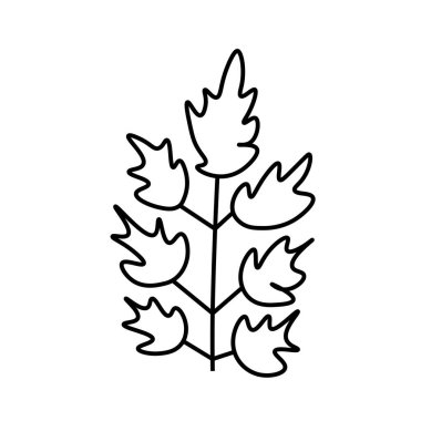 Siyah çizgili vektör minimalist bitki yaprağı. Bir sonbahar sade el çizimi karalama stilinde beyaz izole arkaplan üzerine çizilmiş. Paketleme, sosyal medya, posterler, kartpostallar için tasarım.