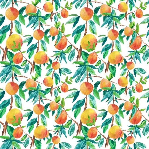 Seamless Watercolor Pattern Peaches Summer Botanical Print Delicious Fruit Orange — Stock Photo, Image