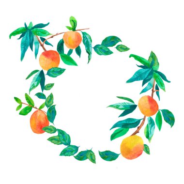 Şeftalili suluboya çelenk. Yaz, bitkisel çerçeve turuncu lezzetli meyveler beyaz izole edilmiş el boyası arka plan. Paketleme, davet, çıkartma, kartpostal, web, sosyal medya için tasarımlar.