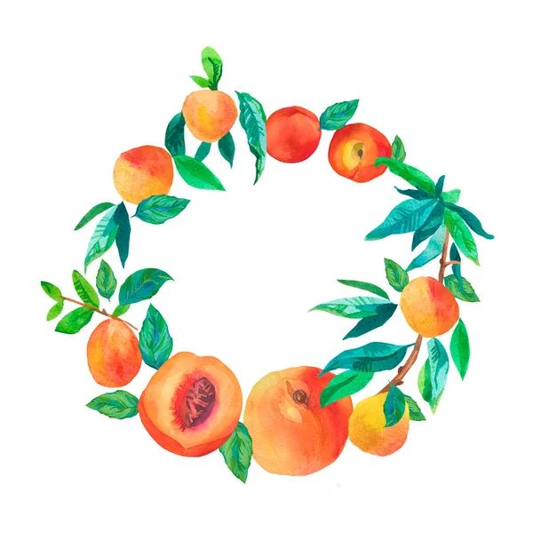Vodní Věnec Broskvemi Léto Botanický Rám Lahodným Ovocem Oranžové Bílém — Stock fotografie