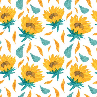 Suluboya güneş çiçekleri ile kusursuz desen. Beyaz izole edilmiş arka planda turuncu çiçekli botanik desen. Tekstil, kumaş, ambalaj kağıdı, ağ, sosyal medya için tasarımlar..