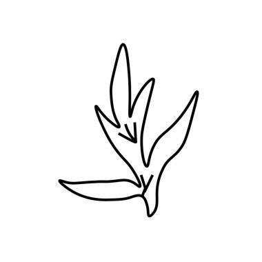 Siyah çizgili basit bir vektör çiçeği. İzole edilmiş arkaplanda botanik el çizimi. Klasik karalama tarzı resim. Paketleme, poster, sosyal medya, davetiye, tebrik kartı tasarımı..