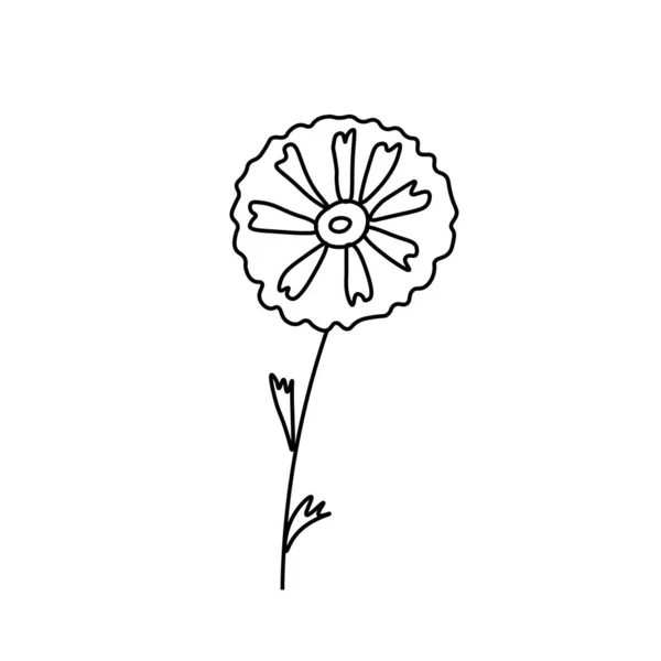 Один Простой Векторный Цветок Черной Линией Ботаническая Ручная Иллюстрация Изолированном — стоковый вектор