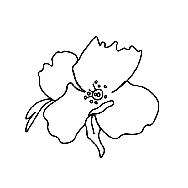 Una Flor Vectorial Simple Con Una Línea Negra Ilustración Dibujada — Archivo Imágenes Vectoriales