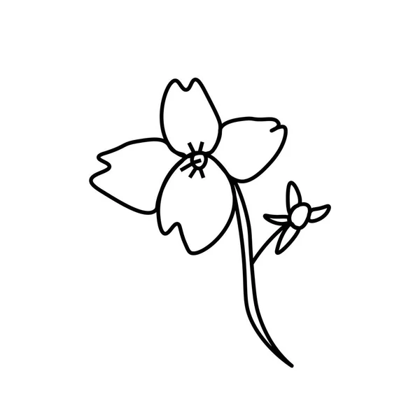 Une Fleur Vectorielle Simple Avec Une Ligne Noire Illustration Botanique — Image vectorielle