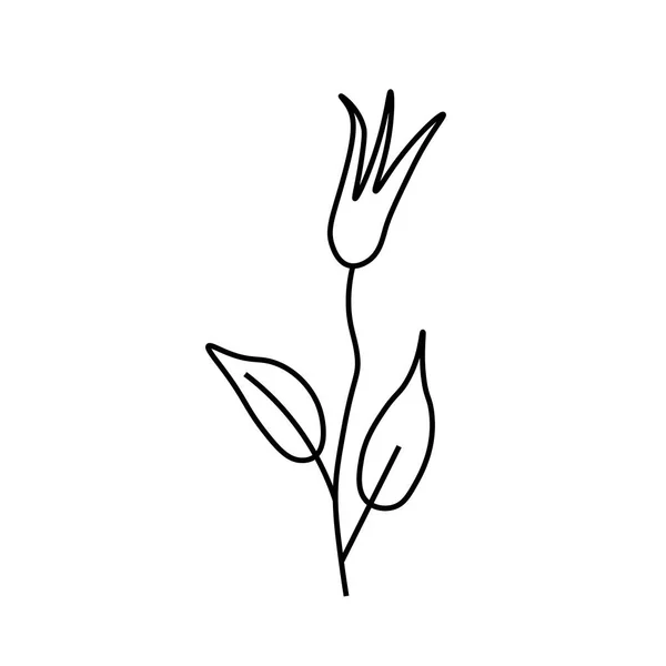 Egy Egyszerű Vektor Virág Egy Fekete Vonal Botanikus Kézzel Rajzolt — Stock Vector