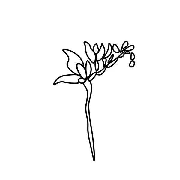 Ένα Απλό Vector Flower Μαύρη Γραμμή Βοτανική Χειροποίητη Απεικόνιση Απομονωμένο — Διανυσματικό Αρχείο