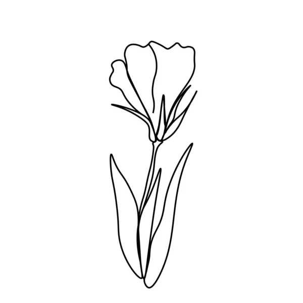Siyah Çizgili Basit Bir Vektör Çiçeği Zole Edilmiş Arkaplanda Botanik — Stok Vektör