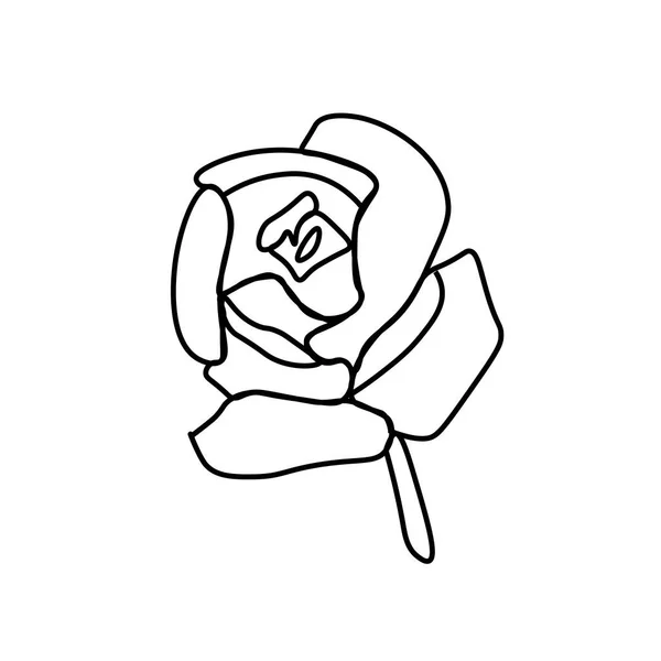Одна Проста Векторна Квітка Троянди Чорною Лінією Ботанічна Рука Намальована — стоковий вектор