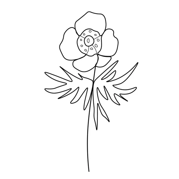 Semplice Fiore Peonia Vettoriale Con Una Linea Nera Illustrazione Disegnata — Vettoriale Stock