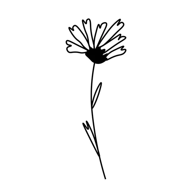 Une Camomille Vectorielle Simple Avec Une Ligne Noire Illustration Botanique — Image vectorielle