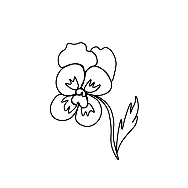 One Simple Vector Viola Black Line Botanical Hand Drawn Illustration — Stock Vector