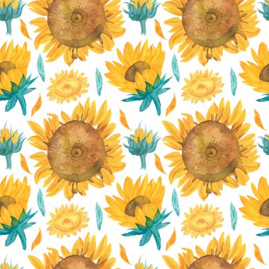 Güneş çiçekleri ile suluboya desensiz sonbahar deseni. Beyaz yalıtılmış arka plan el boyalı botanik baskısı. Tekstil, duvar kağıdı, ambalaj, düğün davetiyeleri, yapıştırma defteri, ambalaj kağıdı..