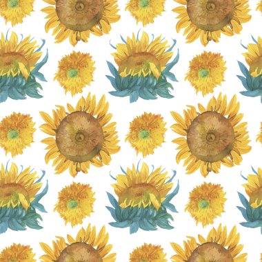 Güneş çiçekleri ile suluboya desensiz sonbahar deseni. Beyaz yalıtılmış arka plan el boyalı botanik baskısı. Tekstil, duvar kağıdı, ambalaj, düğün davetiyeleri, yapıştırma defteri, ambalaj kağıdı..