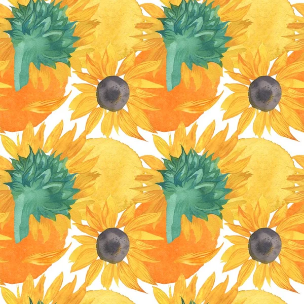 Warna Air Pola Jatuh Mulus Dengan Sunflowers Botanical Cetak Pada — Stok Foto