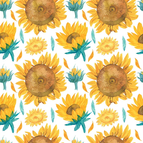 Watercolor Seamless Fall Pattern Sunflowers Botanical Print White Insulated Background — Stock Photo, Image