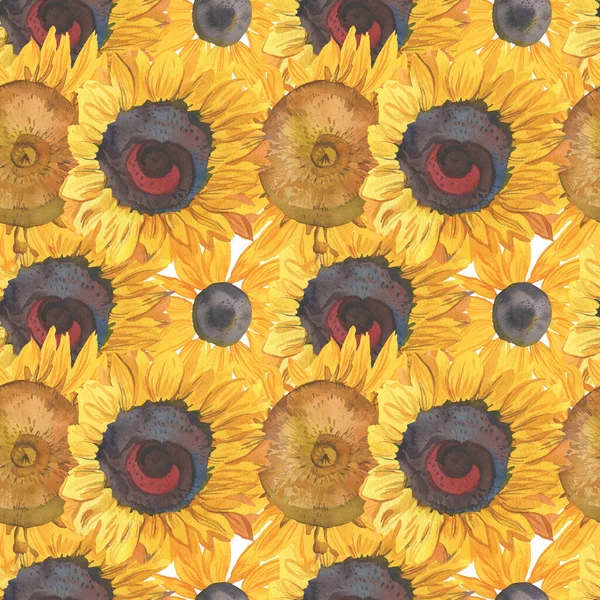 Watercolor seamless fall pattern with sunflowers.Botanical print on white insulated background hand painted.Designs for textiles,wallpaper,packaging,wedding invitations,scrapbooking,wrapping paper.