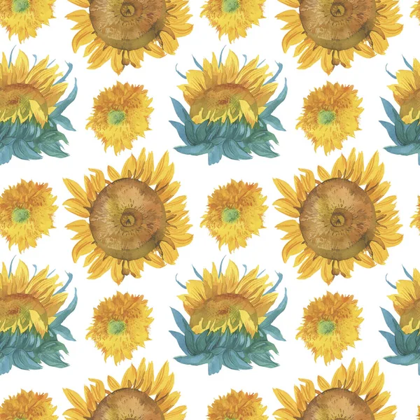 Watercolor Seamless Fall Pattern Sunflowers Botanical Print White Insulated Background — Stock Photo, Image