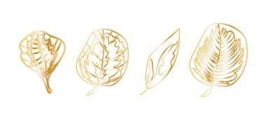 Beyaz yalıtılmış arka planda karalama tarzında altın tropikal yapraklar. El çizimleri koleksiyonu. Sosyal medya, kartlar, ağ, ambalaj, düğün davetiyeleri için tasarımlar.