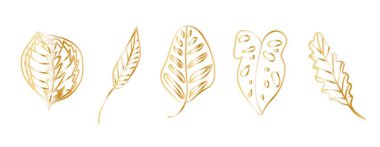 Beyaz yalıtılmış arka planda karalama tarzında altın tropikal yapraklar. El çizimleri koleksiyonu. Sosyal medya, kartlar, ağ, ambalaj, düğün davetiyeleri için tasarımlar.
