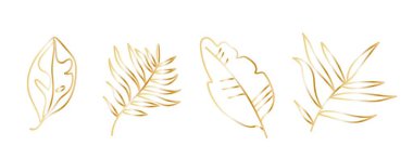 Beyaz yalıtılmış arka planda karalama tarzında altın tropikal yapraklar. El çizimleri koleksiyonu. Sosyal medya, kartlar, ağ, ambalaj, düğün davetiyeleri için tasarımlar.