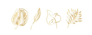 Beyaz yalıtılmış arka planda karalama tarzında altın tropikal yapraklar. El çizimleri koleksiyonu. Sosyal medya, kartlar, ağ, ambalaj, düğün davetiyeleri için tasarımlar.