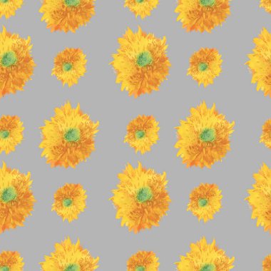 Gri arka planda sarı ayçiçekleri olan kusursuz suluboya deseni. Sonbahar ve botanik el izi