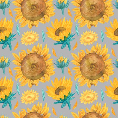 Gri arka planda sarı ayçiçekleri olan kusursuz suluboya deseni. Sonbahar ve botanik el izi