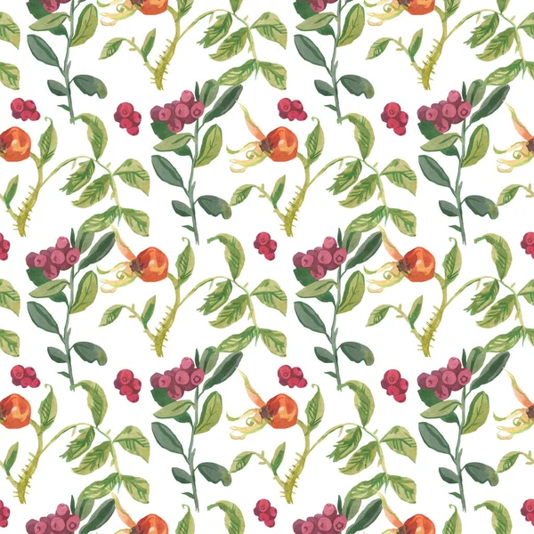 Lingonberry Watercolor Seamless Pattern White Background Bright Fall Christmas Minimalist — ストック写真