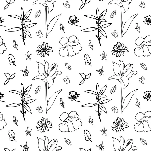 Seamless Vector Pattern Garden Wildflowers Black Line White Isolated Background — Stock Vector