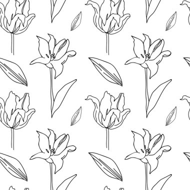 Beyaz izole edilmiş arka planda siyah çizgili kusursuz çiçek deseni. Şirin, modern, fantezi, botanik el çizimi karalama stili baskısı. Tekstil, duvar kağıdı, kumaş, ambalaj kağıdı, yapıştırma kağıdı, albüm kağıdı için tasarımlar..