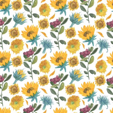 Sarı ayçiçekleri ve kırmızı yaban mersinli suluboya desenli beyaz izole arka plan. Sonbahar, böğürtlen, çiçekli el boyalı baskılar. Kumaş, ambalaj kağıdı, yapıştırma kağıdı, yapıştırma defteri kağıdı için tasarımlar.