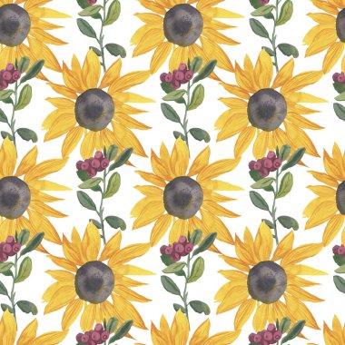 Sarı ayçiçekleri ve kırmızı yaban mersinli suluboya desenli beyaz izole arka plan. Sonbahar, böğürtlen, çiçekli el boyalı baskılar. Kumaş, ambalaj kağıdı, yapıştırma kağıdı, yapıştırma defteri kağıdı için tasarımlar.