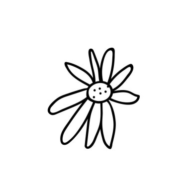 Bir Vector Botanik İllüstrasyon Papatya çayı. Beyaz arka planda siyah çizgi var. Çiçekli, yaz el karalama tarzı resim çizdi. Paketleme, sosyal medya, web, kartlar, posterler, davetiyeler için tasarımlar.