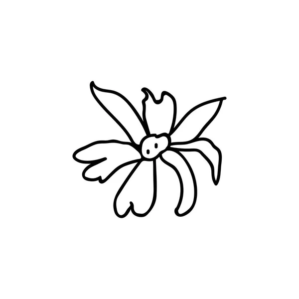 Одна Векторна Ботанічна Ілюстрація Ромашка Чорною Лінією Білому Тлі Квітковий — стоковий вектор