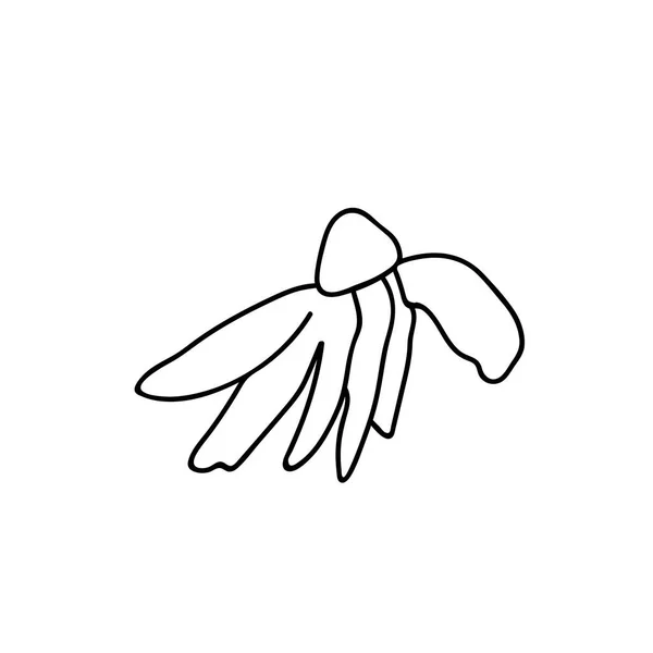 白地に黒のラインを持つ1つのベクトル植物イラストカモミール 夏の手の落書きスタイルの画像を描いた パッケージ ソーシャルメディア ウェブ カード ポスター 招待状のデザイン — ストックベクタ