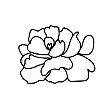 Beyaz arkaplanda siyah çizgili bir vektör botanik resmi. Çiçek, el çizimi karalama tarzı resimler. Paketleme, sosyal medya, web, kartlar, davetiyeler, davetiyeler için tasarımlar..