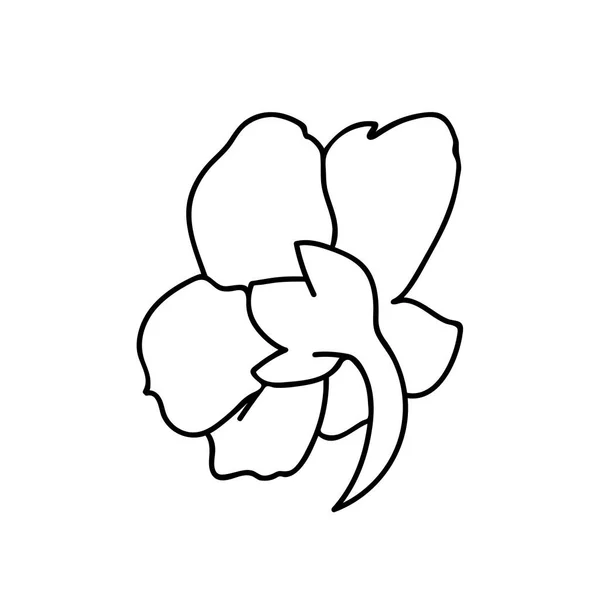 One Vector Botanical Illustration Nasturtium Černou Čárou Bílém Pozadí Květinová — Stockový vektor