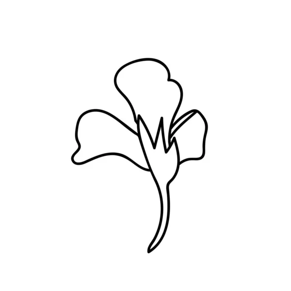 Illustration Botanique Vectorielle Nasturtium Avec Ligne Noire Sur Fond Blanc — Image vectorielle