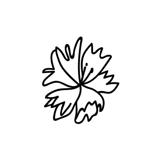 Один Векторный Ботанический Сад Корневый Цветок Черной Линией Белом Фоне — стоковый вектор