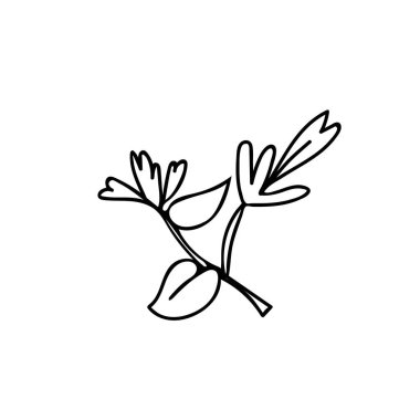 Beyaz arkaplanda siyah çizgili bir Vektör Botanik Çizim Santrali. Çiçek, Yaz el çizimi karalama tarzı resimler. Paketler, sosyal medya, web, kartlar, davetiyeler, davetiyeler için tasarımlar..