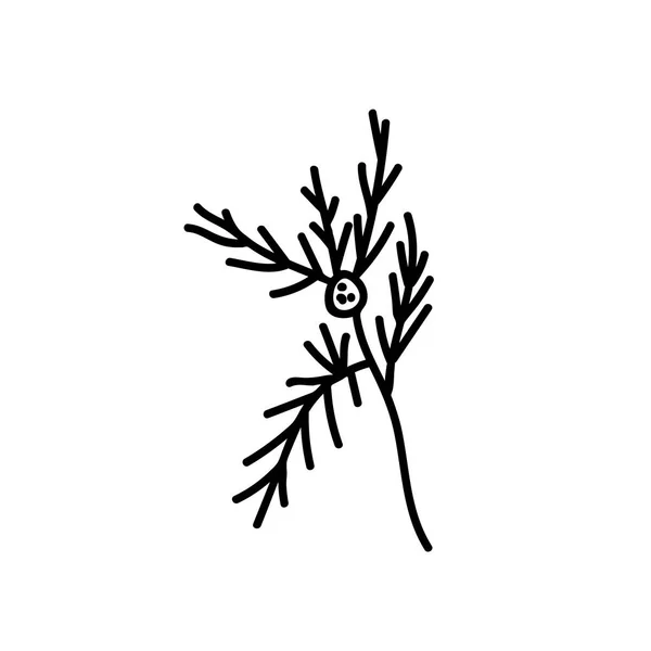 Jeden Wektor Botanical Illustration Branch Plant Czarną Linią Białym Tle — Wektor stockowy