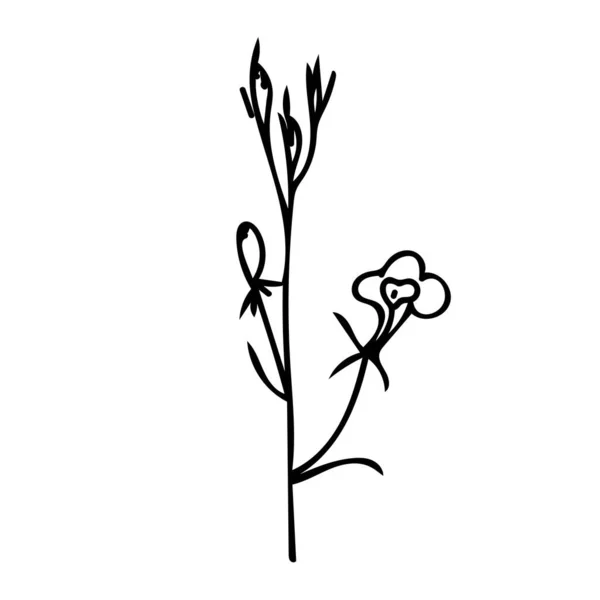 One Vector Botanical Illustration Branch Plant Met Zwarte Lijn Witte — Stockvector