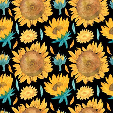 Siyah izole edilmiş arka planda sarı ayçiçekleri olan suluboya desenler. Botanik, düğün baskısı el boyası. Tekstil, kumaş, ambalaj kağıdı, sosyal medya için tasarımlar..