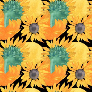 Siyah izole edilmiş arka planda sarı ayçiçekleri olan suluboya desenler. Botanik, düğün baskısı el boyası. Tekstil, kumaş, ambalaj kağıdı, sosyal medya için tasarımlar..